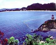 玉环天气预报7天