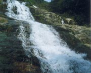 长泰天气预报10天
